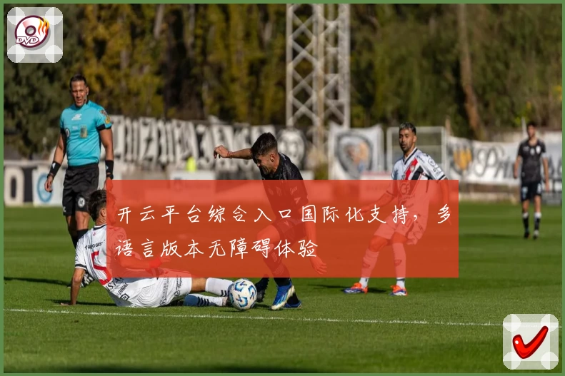 开云平台综合入口国际化支持,多语言版本无障碍体验