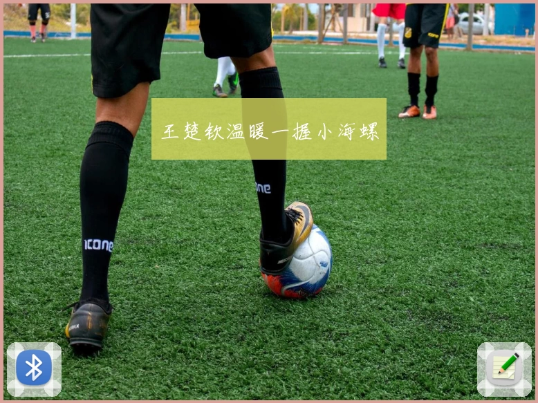 王楚钦温暖一握小海螺