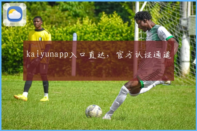 kaiyunapp入口直达，官方认证通道