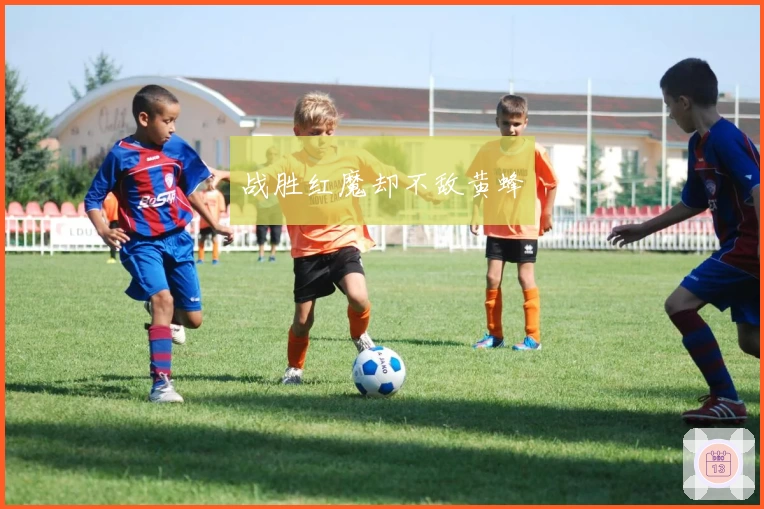 战胜红魔却不敌黄蜂