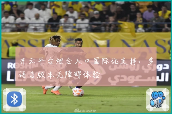 开云平台综合入口国际化支持，多语言版本无障碍体验